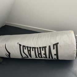 Everlast Punching Bag
