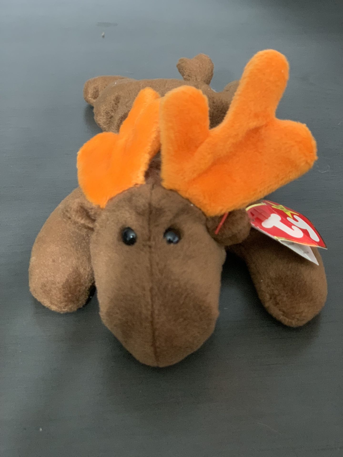 1993 RARE Chocolate Beanie Baby