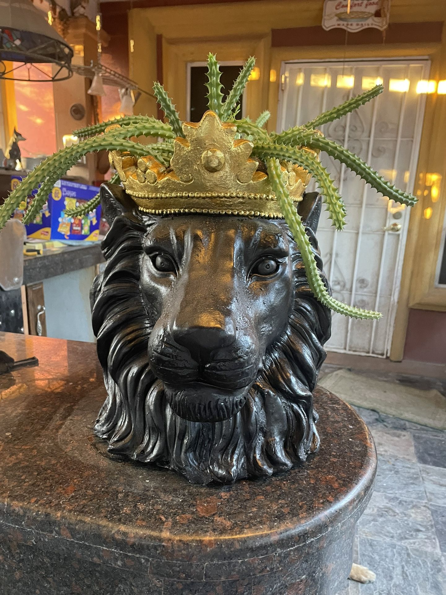 Vintage Lion King Head With Succulant hair
