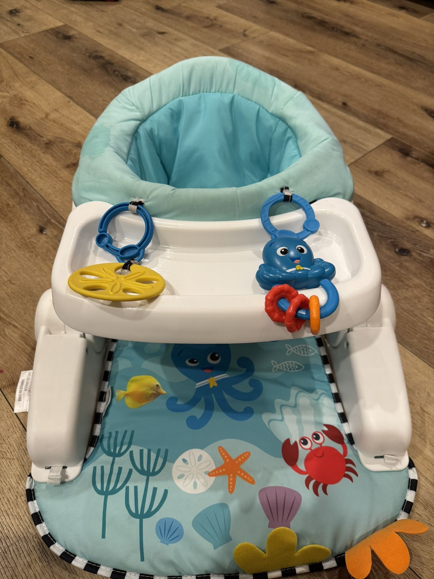 Baby Einstein Sit Me Up