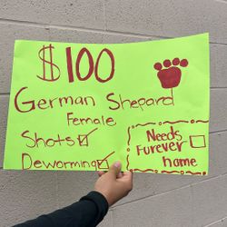 Sign