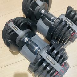 Bowflex Dumbbells 