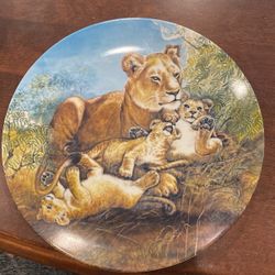 Collector Plate 