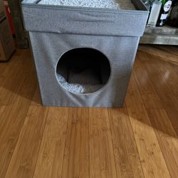 Cat House 