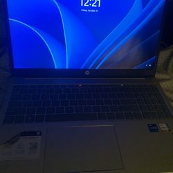 Gray Large Hp Computer 