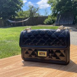 Black Golden Chain Purse 