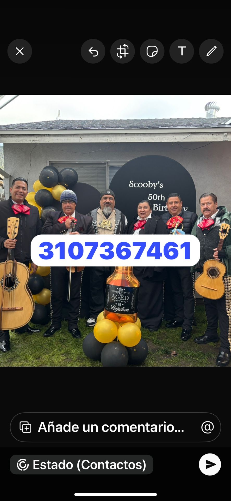 Violin Arpa De Mariachi