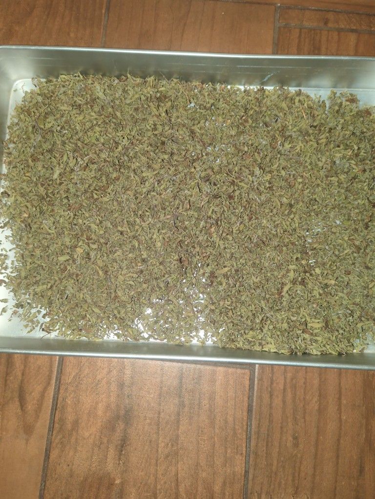 Organic Oregano / Oregano Organico