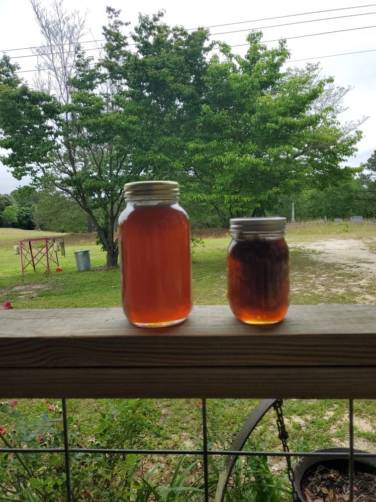 Local Honey