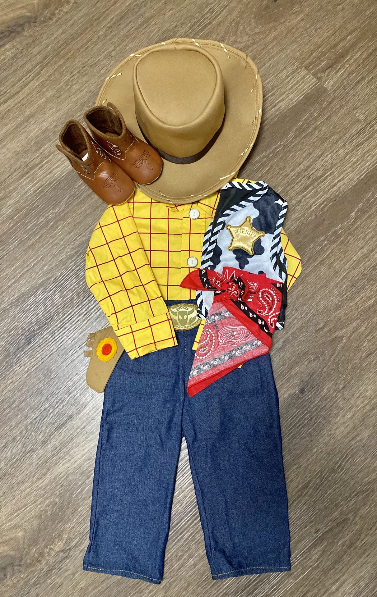 Toy Story Woody Outfit With Party Supplies