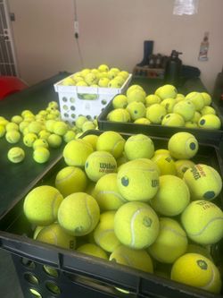 Used tennis balls