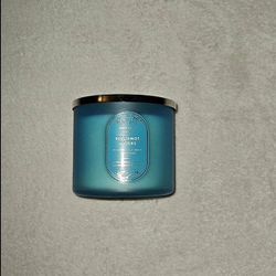 Bath And Body Works 3 Wick Candle 