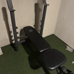 Kings Gold bench press