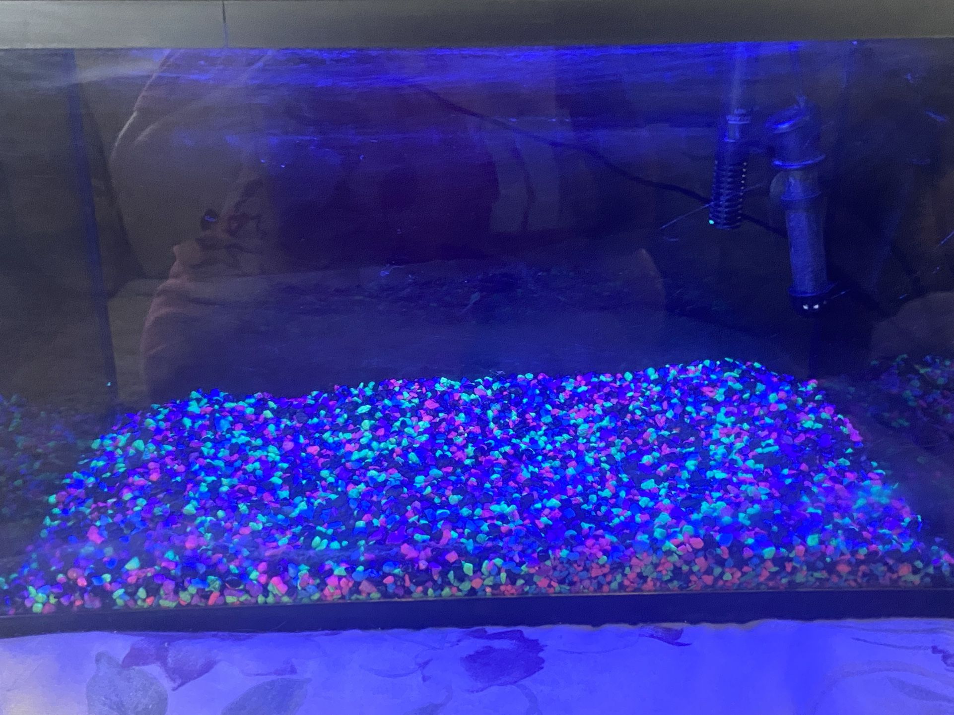 Top Fin Fish Tank