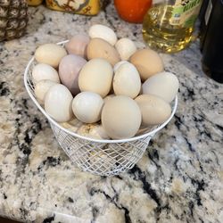 Fresh eggs 