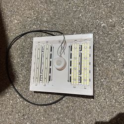Wall Lights / 