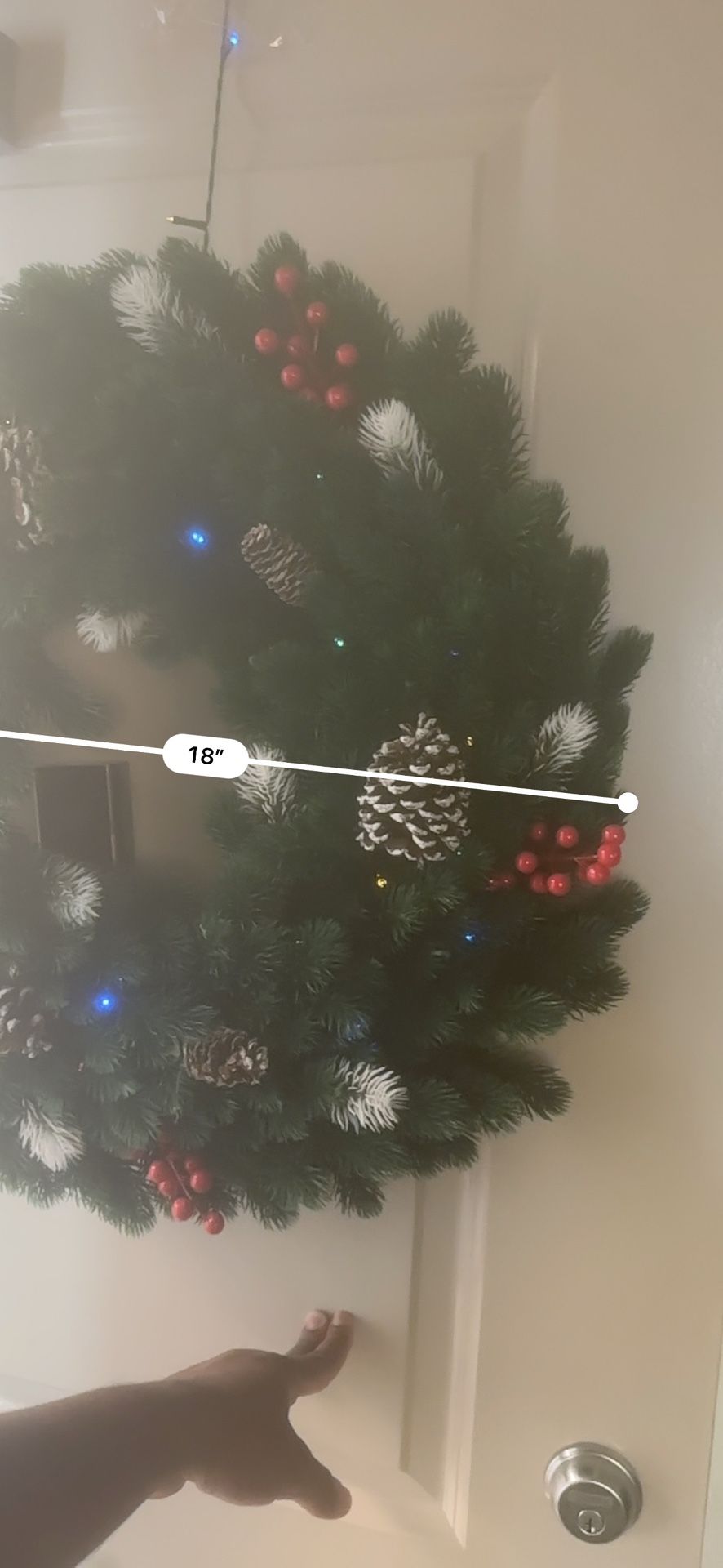 Christmas Tree And Reef 