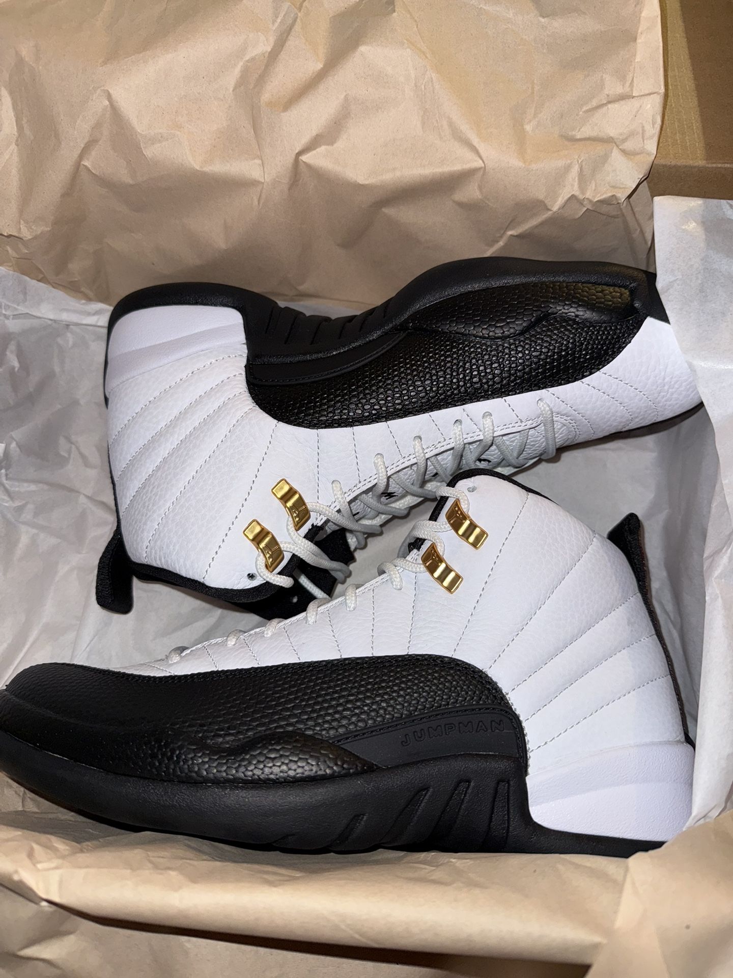 Jordan 12 Taxi Size 8.5