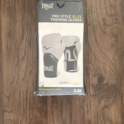 Everlast 12 Oz Boxing Gloves 