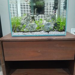 RIMLESS TANK    AQUARIUM    PECERA    FISH TANK 