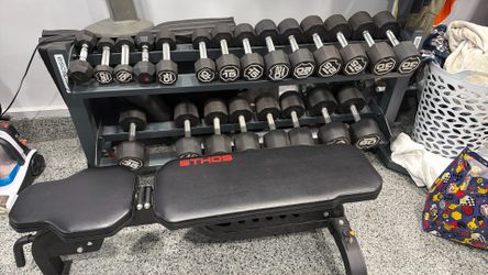 Full Dumbbell Weight Set + Rack + Adjustable Bench.