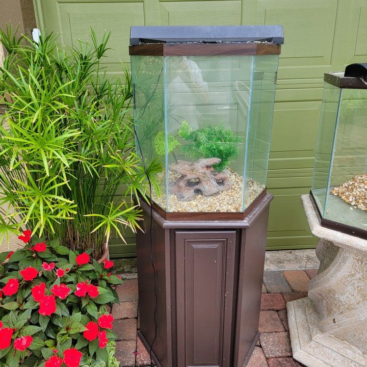 Fish Aquarium- Octagon with Stand