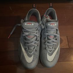 Nike Lebron 12 Low Wolf Gray