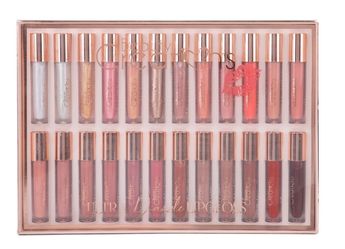 24 Lip Glosses Set