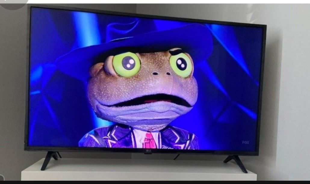 Barely Used 43" LG Smart TV With AIRPLAY 2 and ALEXA Built In !!
