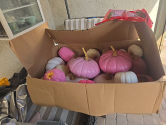 Pumpkin