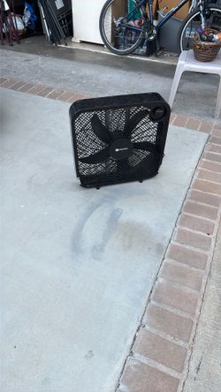 Fan