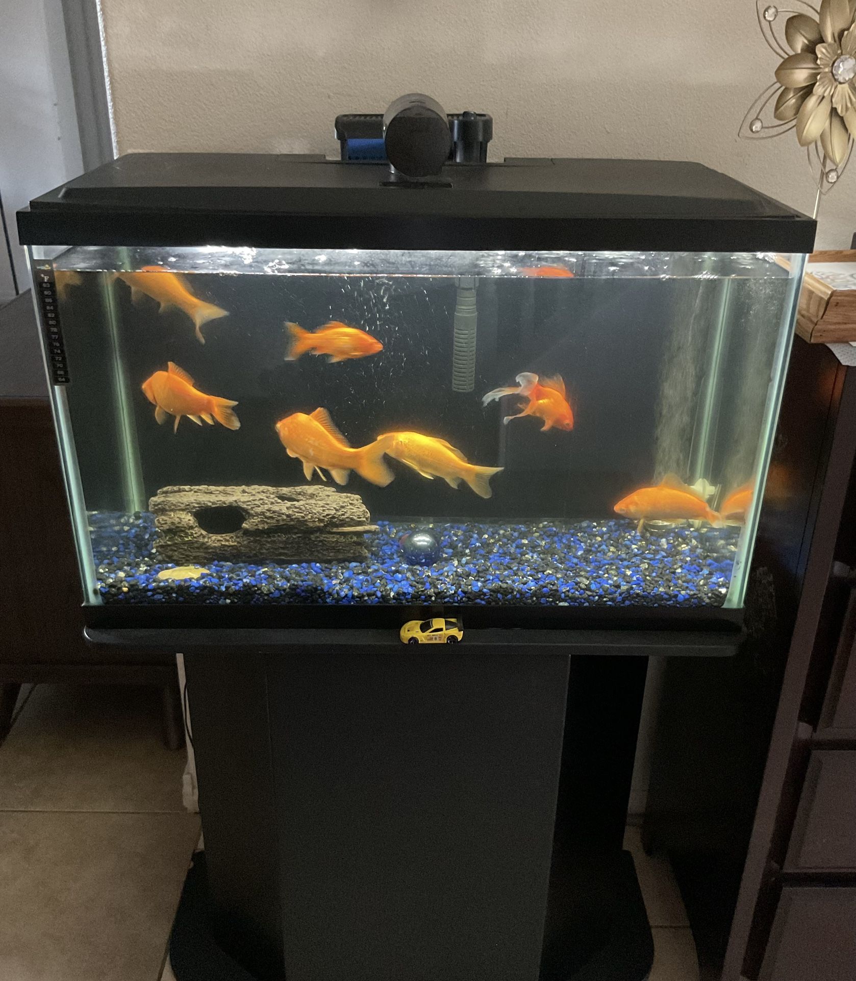 Fish Tank With Stand