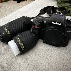 Nikon D7500