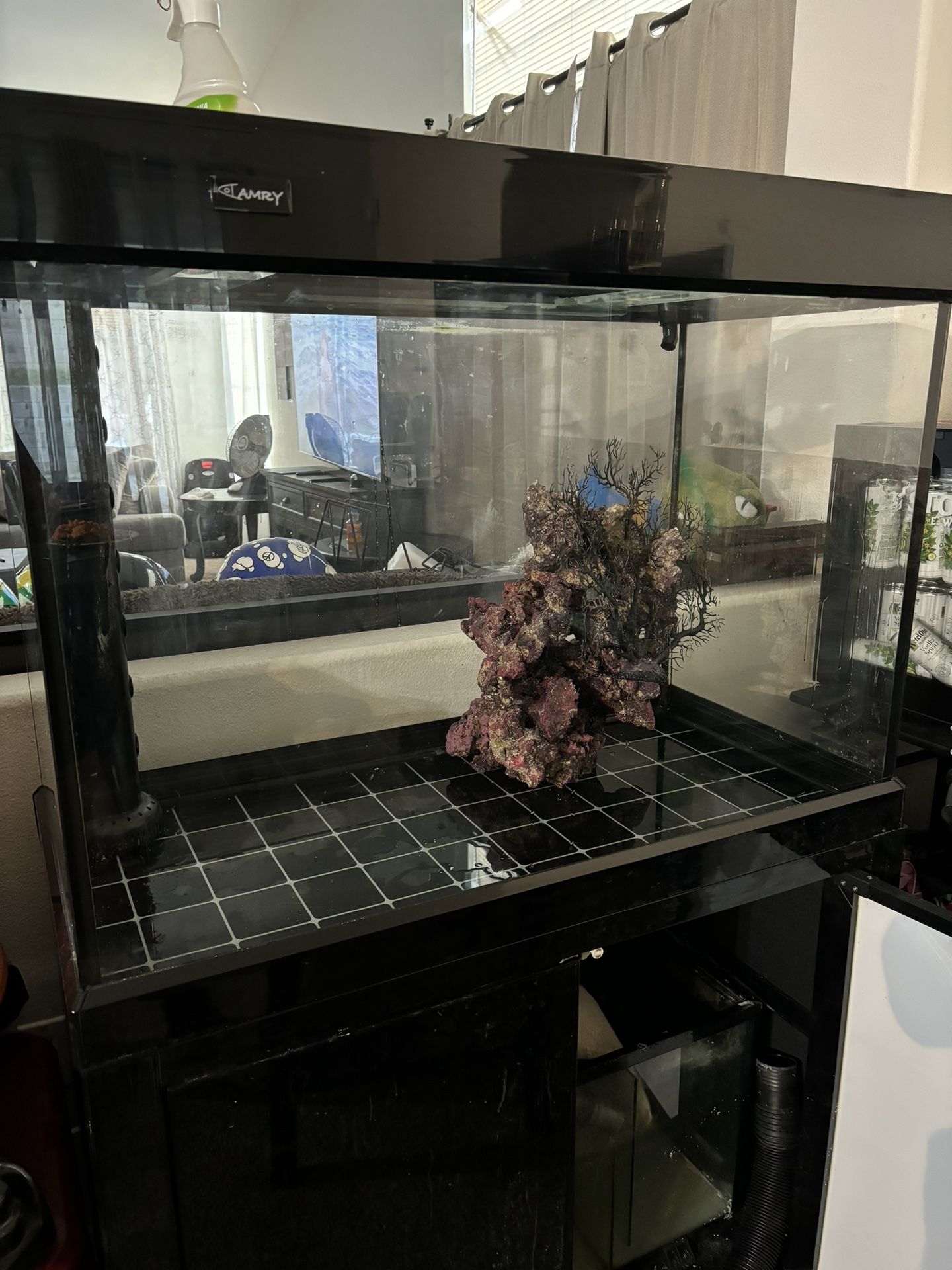Fish Tank & Stand