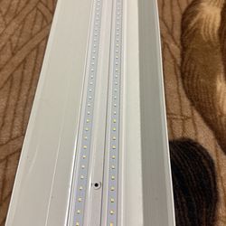 Led Lights