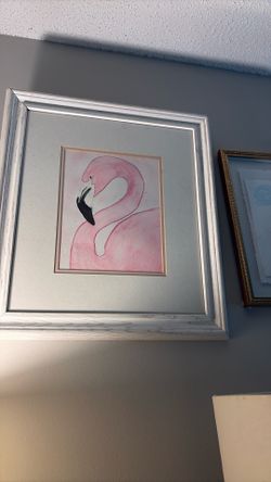 Flamingo