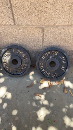 25 lbs Standard plates
