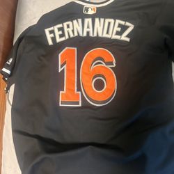 Rare Jose Fernandez Jersey 