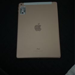 Cellular Ipad