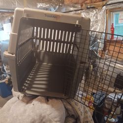 Dog Kennel