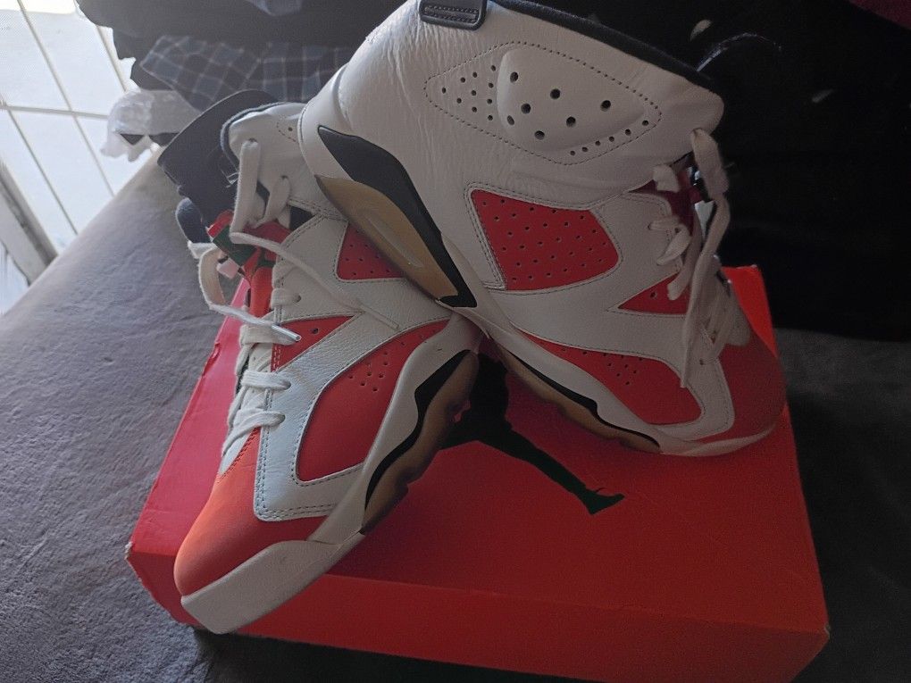 Jordan 6 Team Gatorade Size 10.5 New Conditions $130