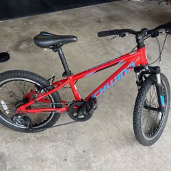 Schwinn Signature Boys' Thrasher 20'' Mountain Bike