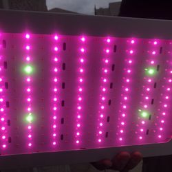 Led Grow Lights