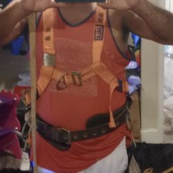 Safety Harness & Lanyard 
