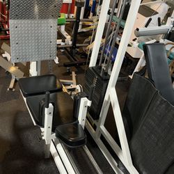 Quantum Horizontal Leg Press Calf Raise Gym Equipment Fitness Workout
