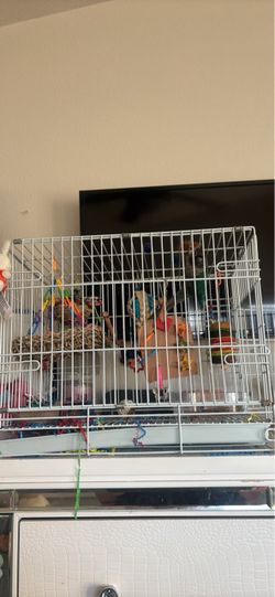 Cage