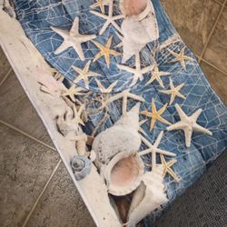 NEW Sea shell 3 Piece Bathroom Set