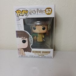 Hermione Granger/Harry Potter 