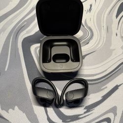 POWERBEATS PRO 