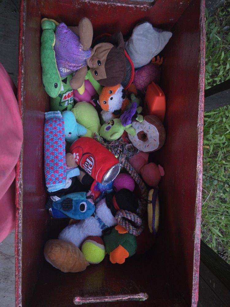 Dog Toys And Toy Box For 30